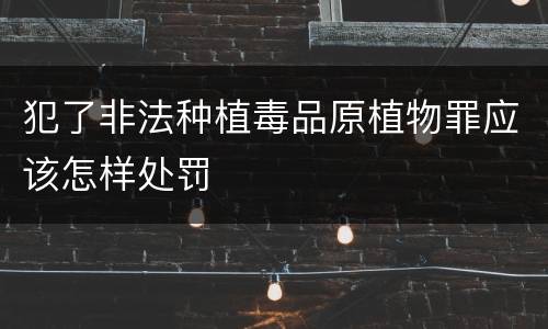 犯了非法种植毒品原植物罪应该怎样处罚