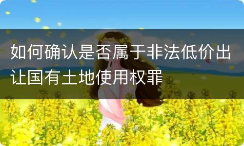 如何确认是否属于非法低价出让国有土地使用权罪