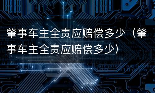 肇事车主全责应赔偿多少（肇事车主全责应赔偿多少）