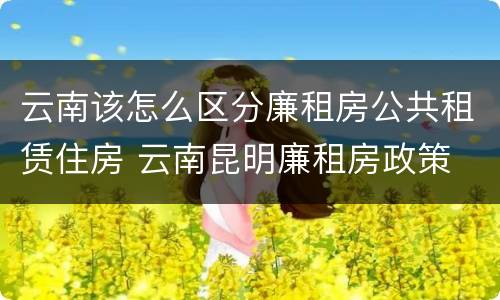 云南该怎么区分廉租房公共租赁住房 云南昆明廉租房政策