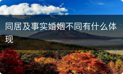 同居及事实婚姻不同有什么体现