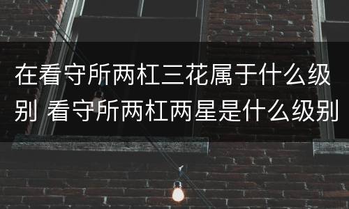 在看守所两杠三花属于什么级别 看守所两杠两星是什么级别
