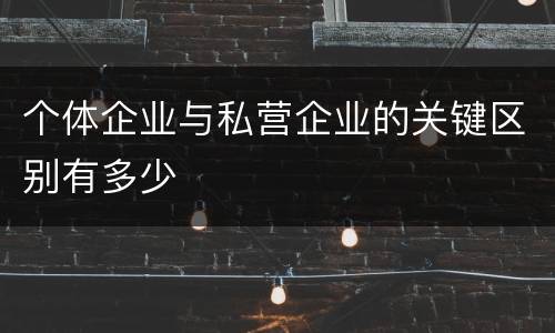个体企业与私营企业的关键区别有多少