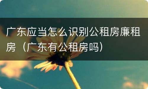 广东应当怎么识别公租房廉租房（广东有公租房吗）