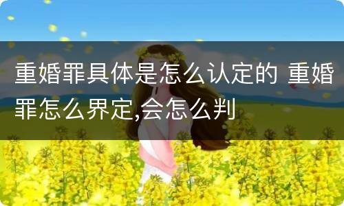 重婚罪具体是怎么认定的 重婚罪怎么界定,会怎么判