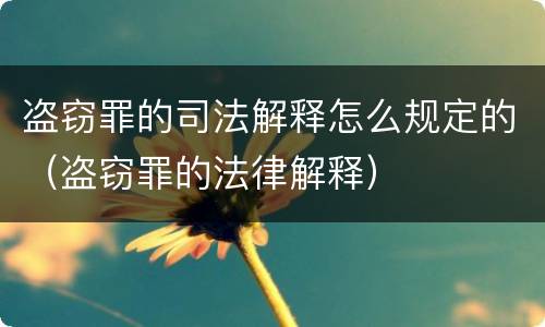 盗窃罪的司法解释怎么规定的（盗窃罪的法律解释）
