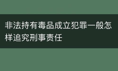 非法持有毒品成立犯罪一般怎样追究刑事责任