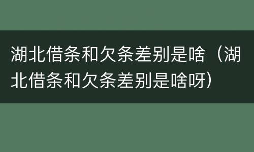 湖北借条和欠条差别是啥（湖北借条和欠条差别是啥呀）