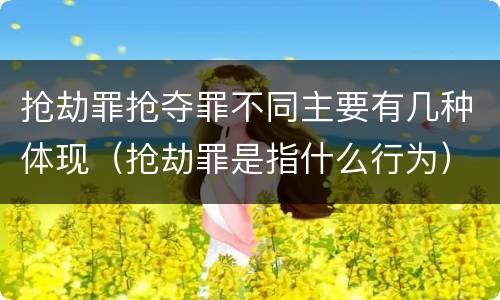 抢劫罪抢夺罪不同主要有几种体现（抢劫罪是指什么行为）