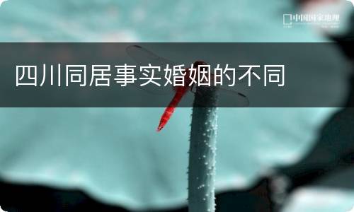 四川同居事实婚姻的不同