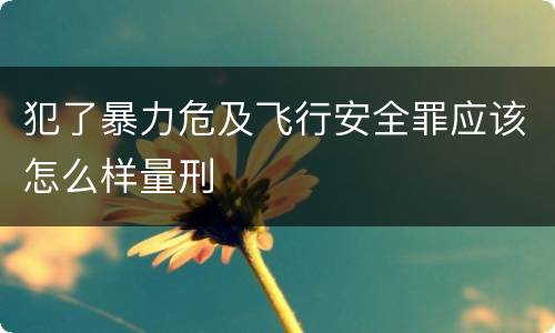 犯了暴力危及飞行安全罪应该怎么样量刑