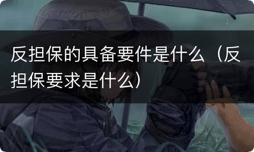 反担保的具备要件是什么（反担保要求是什么）