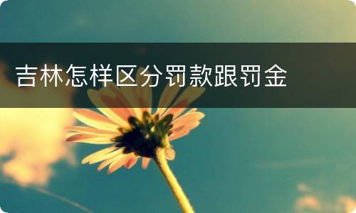 吉林怎样区分罚款跟罚金