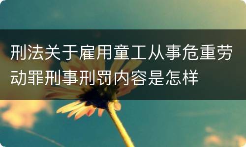 刑法关于雇用童工从事危重劳动罪刑事刑罚内容是怎样
