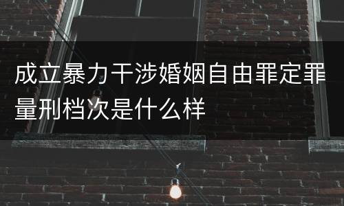 成立暴力干涉婚姻自由罪定罪量刑档次是什么样