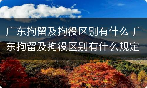 广东拘留及拘役区别有什么 广东拘留及拘役区别有什么规定