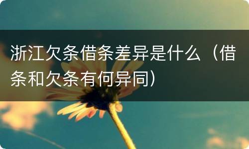 浙江欠条借条差异是什么（借条和欠条有何异同）