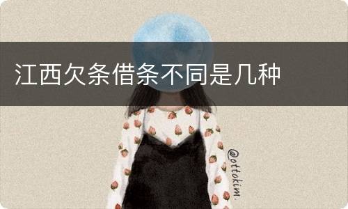 江西欠条借条不同是几种