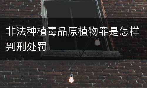 非法种植毒品原植物罪是怎样判刑处罚