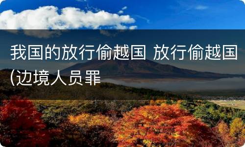 我国的放行偷越国 放行偷越国(边境人员罪