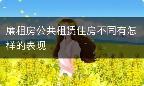 廉租房公共租赁住房不同有怎样的表现