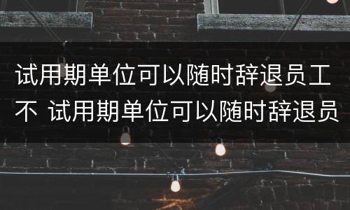 试用期单位可以随时辞退员工不 试用期单位可以随时辞退员工不发工资吗
