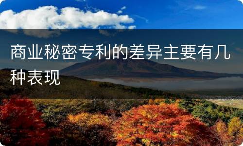商业秘密专利的差异主要有几种表现