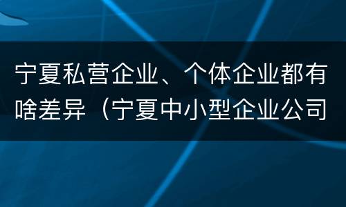 宁夏私营企业、个体企业都有啥差异（宁夏中小型企业公司有哪些）