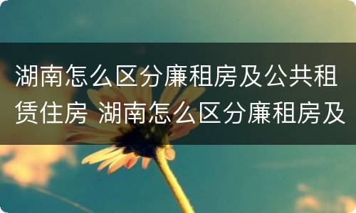 湖南怎么区分廉租房及公共租赁住房 湖南怎么区分廉租房及公共租赁住房呢