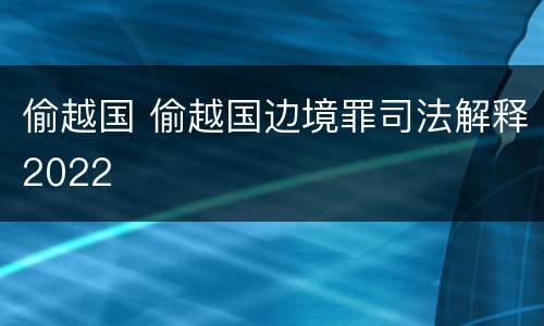 偷越国 偷越国边境罪司法解释2022