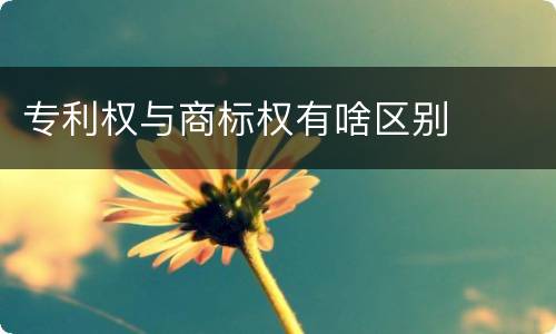 专利权与商标权有啥区别