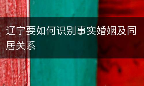 辽宁要如何识别事实婚姻及同居关系