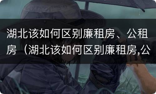 湖北该如何区别廉租房、公租房（湖北该如何区别廉租房,公租房）