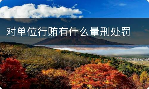 对单位行贿有什么量刑处罚