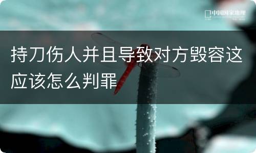 持刀伤人并且导致对方毁容这应该怎么判罪