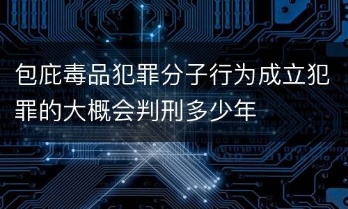 包庇毒品犯罪分子行为成立犯罪的大概会判刑多少年