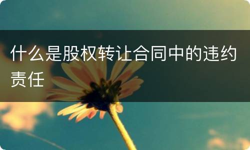 什么是股权转让合同中的违约责任