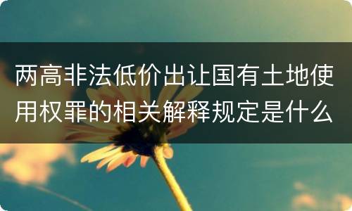 两高非法低价出让国有土地使用权罪的相关解释规定是什么