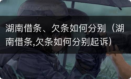 湖南借条、欠条如何分别（湖南借条,欠条如何分别起诉）