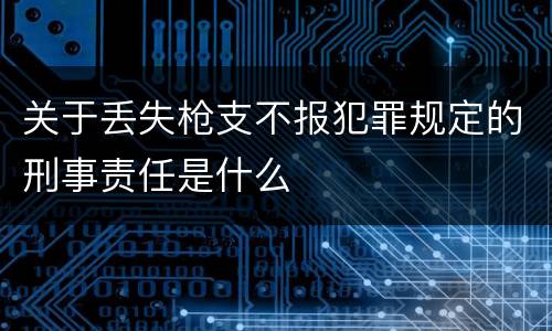 关于丢失枪支不报犯罪规定的刑事责任是什么