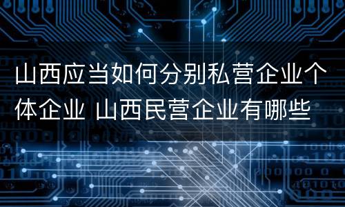 山西应当如何分别私营企业个体企业 山西民营企业有哪些