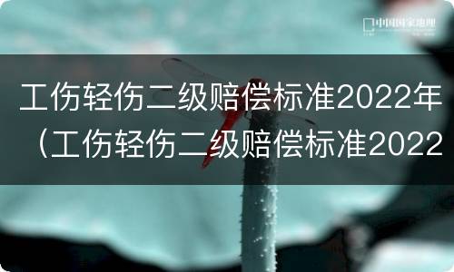 工伤轻伤二级赔偿标准2022年（工伤轻伤二级赔偿标准2022年度）