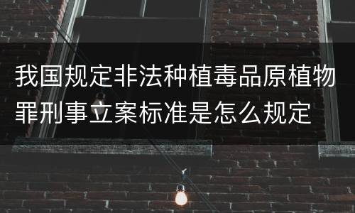我国规定非法种植毒品原植物罪刑事立案标准是怎么规定