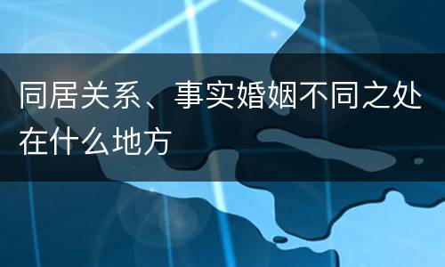 同居关系、事实婚姻不同之处在什么地方
