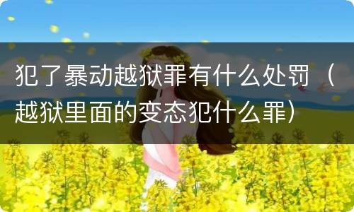 犯了暴动越狱罪有什么处罚（越狱里面的变态犯什么罪）
