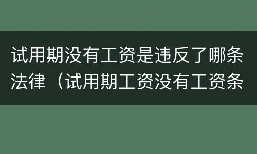 试用期没有工资是违反了哪条法律（试用期工资没有工资条违法吗）