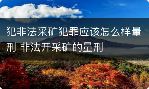 犯非法采矿犯罪应该怎么样量刑 非法开采矿的量刑