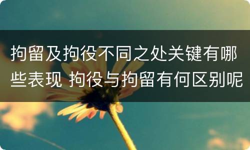 拘留及拘役不同之处关键有哪些表现 拘役与拘留有何区别呢举例说明
