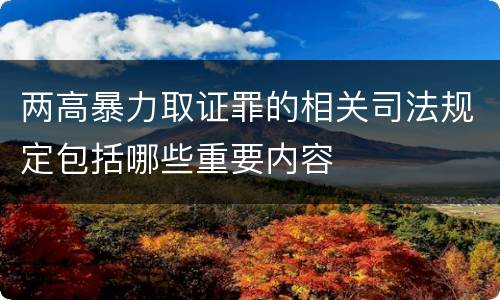 两高暴力取证罪的相关司法规定包括哪些重要内容