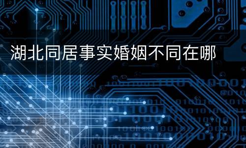 湖北同居事实婚姻不同在哪